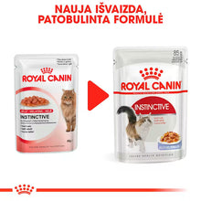 ROYAL CANIN Instinctive Jelly - Wet Food for Adult Cats 12x85g