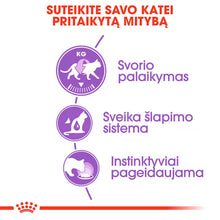 Sterilised Loaf - Drėgnas Pašaras Sterilizuotoms Katėms Paštetas 12x85g