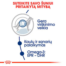 Royal Canin Maxi Adult sausas pašaras - Suaugusiems didelių veislių šunims