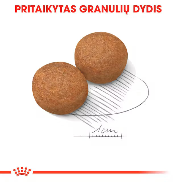 Royal Canin Maxi Adult sausas pašaras - Suaugusiems didelių veislių šunims