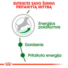 Royal Canin Mini Adult 8+ sausas pašaras šuniui - Subrendusiems mažų veislių šunims