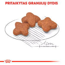 Royal Canin Mini Adult 8+ sausas pašaras šuniui - Subrendusiems mažų veislių šunims