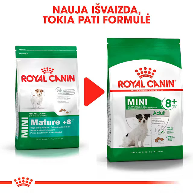 Royal Canin Mini Adult 8+ sausas pašaras šuniui - Subrendusiems mažų veislių šunims