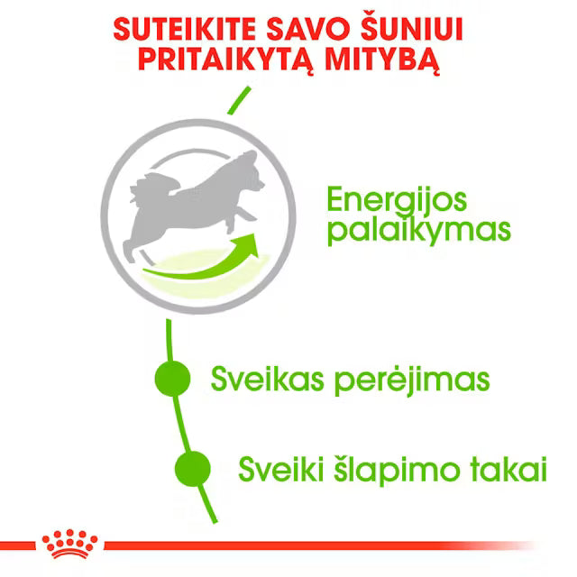 Royal Canin X-Small Adult 8+ - Sausas pašaras šuniui