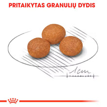 Royal Canin X-Small Adult 8+ - Sausas pašaras šuniui