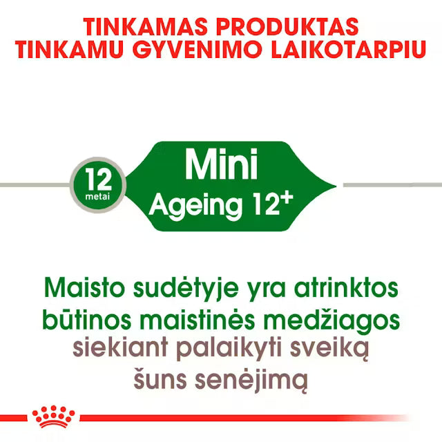 Royal Canin Size Health Nutrition Mini Ageing 12+ 1,5kg - Sausas maistas labai vyresnio amžiaus mažų veislių šunims