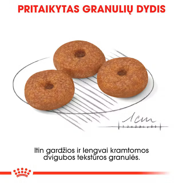 Royal Canin Size Health Nutrition Mini Ageing 12+ 1,5kg - Sausas maistas labai vyresnio amžiaus mažų veislių šunims