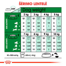 Royal Canin Size Health Nutrition Mini Ageing 12+ 1,5kg - Sausas maistas labai vyresnio amžiaus mažų veislių šunims