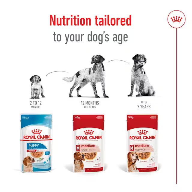 Royal Canin SHN Medium Ageing 10+ In Gravy - Drėgnas Pašaras Vidutinių Veislių Vyresnio Amžiaus Šunims 10x140g