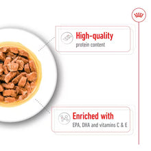 Royal Canin SHN Medium Ageing 10+ In Gravy - Drėgnas Pašaras Vidutinių Veislių Vyresnio Amžiaus Šunims 10x140g