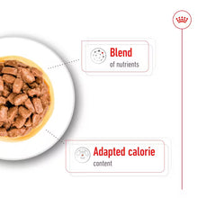 ROYAL CANIN Mini Ageing Chunks In Gravy - Mokra Karma dla Starszych Psów Małych Ras 12x85g