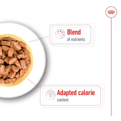 ROYAL CANIN Mini Ageing Chunks In Gravy - Mokra Karma dla Starszych Psów Małych Ras 12x85g