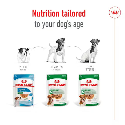 ROYAL CANIN Mini Ageing Chunks In Gravy - Mokra Karma dla Starszych Psów Małych Ras 12x85g