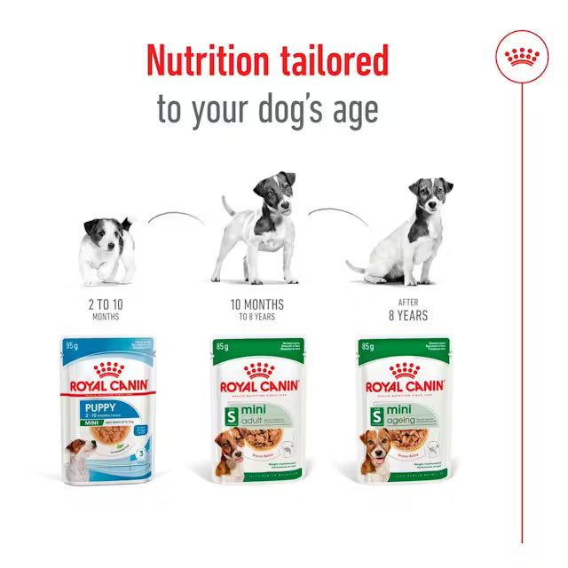 ROYAL CANIN Mini Ageing Chunks In Gravy - Mokra Karma dla Starszych Psów Małych Ras 12x85g
