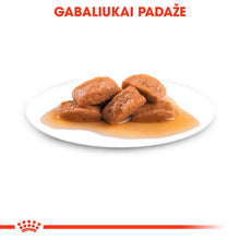 ROYAL CANIN Maxi Adult Chunks In Gravy - Mokra Karma dla Dorosłych Psów Ras Dużych 10x140g