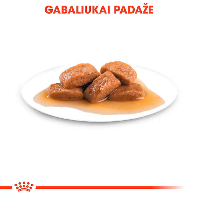 ROYAL CANIN Maxi Adult Chunks In Gravy - Mokra Karma dla Dorosłych Psów Ras Dużych 10x140g