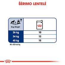 ROYAL CANIN Maxi Adult Chunks In Gravy - Mokra Karma dla Dorosłych Psów Ras Dużych 10x140g