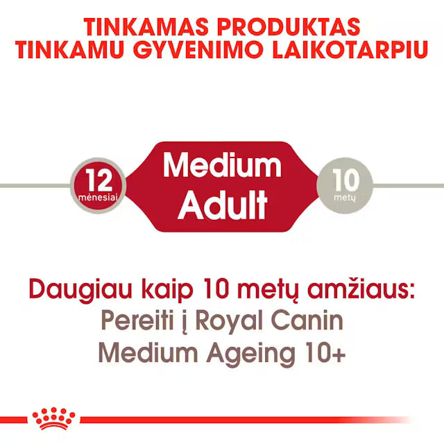 Royal Canin Medium Adult drėgnas pašaras - Vidutinių veislių suaugusiems šunims