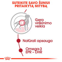 Royal Canin Medium Adult drėgnas pašaras - Vidutinių veislių suaugusiems šunims