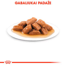 Royal Canin Medium Adult drėgnas pašaras - Vidutinių veislių suaugusiems šunims