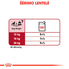 Royal Canin Medium Adult drėgnas pašaras - Vidutinių veislių suaugusiems šunims