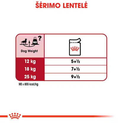 Royal Canin Medium Adult karma mokra - Dla dorosłych psów ras średnich