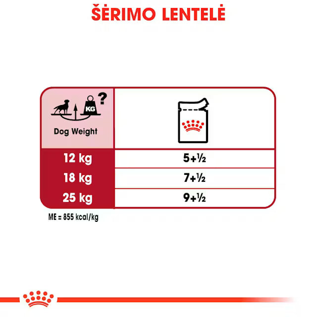 Royal Canin Medium Adult drėgnas pašaras - Vidutinių veislių suaugusiems šunims