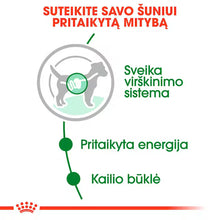 Royal Canin Size Health Nutrition Mini Adult Gravy 12x85g - Šlapias maistas su padažu suaugusiems mažų veislių šunims