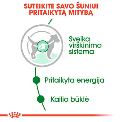 Royal Canin Size Health Nutrition Mini Adult Gravy 12x85g - Mokra karma z sosem dla dorosłych psów małych ras