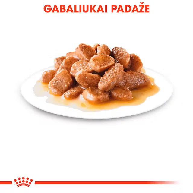 Royal Canin Size Health Nutrition Mini Adult Gravy 12x85g - Šlapias maistas su padažu suaugusiems mažų veislių šunims