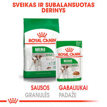 Royal Canin Size Health Nutrition Mini Adult Gravy 12x85g - Šlapias maistas su padažu suaugusiems mažų veislių šunims