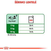 Royal Canin Size Health Nutrition Mini Adult Gravy 12x85g - Šlapias maistas su padažu suaugusiems mažų veislių šunims