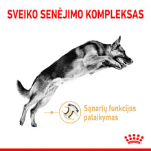 Sucha karma dla psów Owczarek Niemiecki 5+