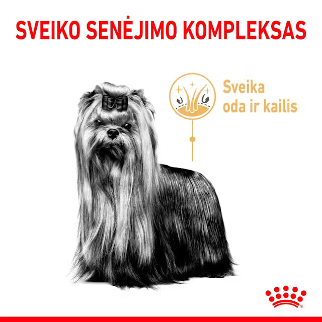 Royal Canin Yorkshire Terrier 8+ - Dry dog ​​food