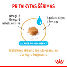 Royal Canin Yorkshire Terrier 8+ - Dry dog ​​food