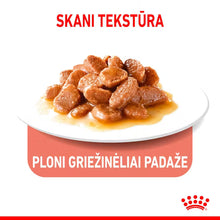 ROYAL CANIN APPETITE CONTROL CARE Gravy - Drėgnas Pašaras Suaugusioms Katėms 12x85g