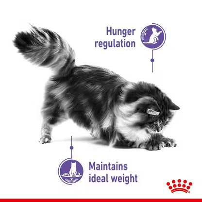 ROYAL CANIN Appetite Control Care Loaf - Wet Food for Appetite Control Cats 12x85g