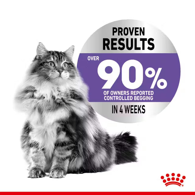 ROYAL CANIN Appetite Control Care Loaf - Wet Food for Appetite Control Cats 12x85g