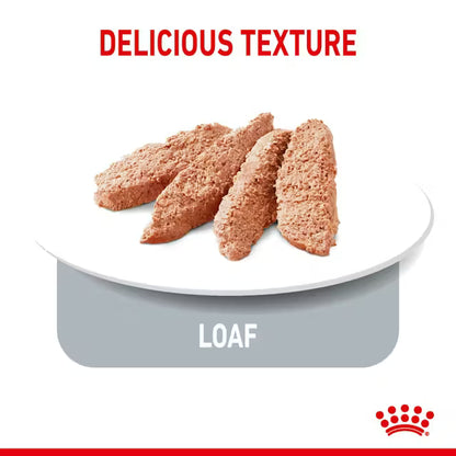 ROYAL CANIN Appetite Control Care Loaf - Wet Food for Appetite Control Cats 12x85g