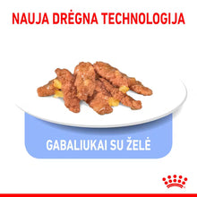 Indoor Sterilised Morsels in Jelly - Drėgnas Pašaras Kambarinėms Katėms 12x85g