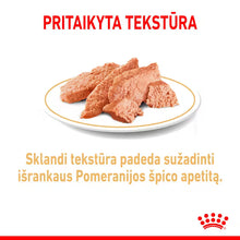 Royal Canin Pomeranian Loaf karma mokra dla psów 12x85g