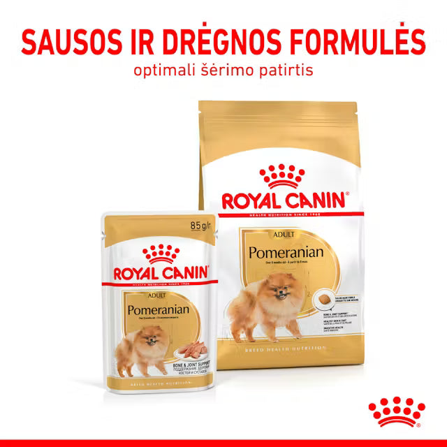 Royal Canin Pomeranian Loaf karma mokra dla psów 12x85g