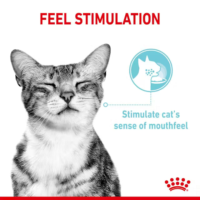 ROYAL CANIN Sensory Feel Morsels In Jelly - Wet Food For Adult Cats 12x85g