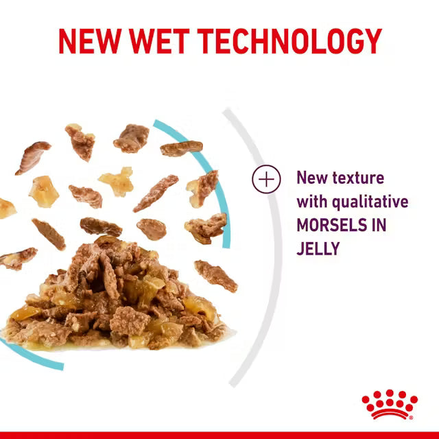ROYAL CANIN Sensory Feel Morsels In Jelly - Wet Food For Adult Cats 12x85g