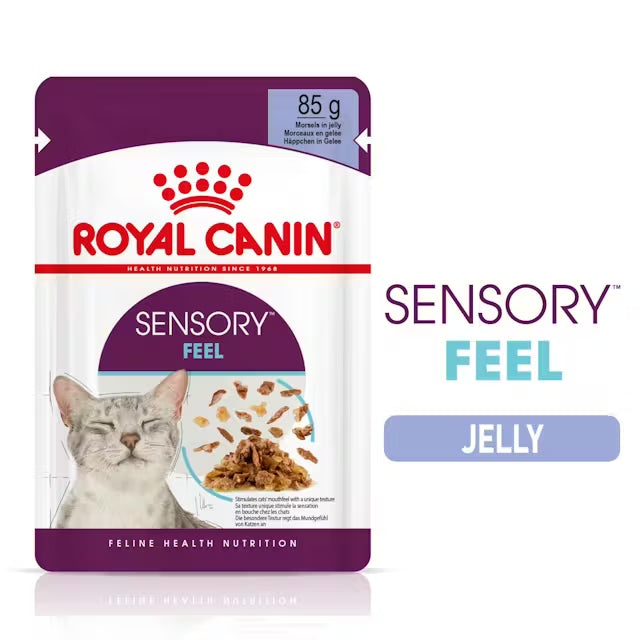 ROYAL CANIN Sensory Feel Morsels In Jelly - Wet Food For Adult Cats 12x85g
