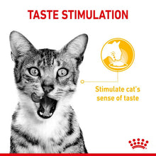 ROYAL CANIN Sensory Multi Chunks In Gravy - Drėgnas Pašaras Suaugusioms Katėms 12x85g