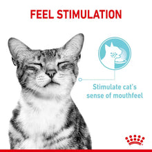ROYAL CANIN Sensory Multi Chunks In Gravy - Drėgnas Pašaras Suaugusioms Katėms 12x85g