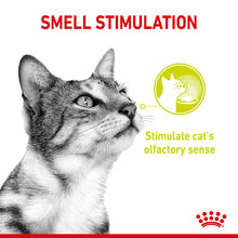 ROYAL CANIN Sensory Smell Chunks In Jelly - Drėgnas Pašaras Suaugusioms Katėms 12x85g