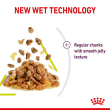 ROYAL CANIN Sensory Smell Chunks In Jelly - Drėgnas Pašaras Suaugusioms Katėms 12x85g