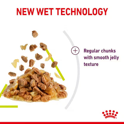 ROYAL CANIN Sensory Smell Chunks In Jelly - Wet Food For Adult Cats 12x85g